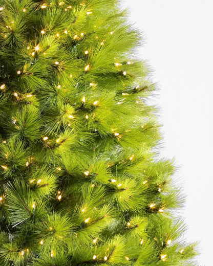 Árvore de Natal Verde Monterey Pine com Galhos Longos, Suporte Metálico e Micro LEDs Coloridos Embutidos