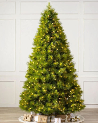 Árvore de Natal Verde Monterey Pine com Galhos Longos, Suporte Metálico e Micro LEDs Coloridos Embutidos