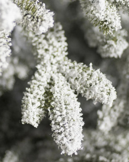 Árvore de Natal Nevada Frosted Fraser com Galhos Articulados, Suporte Metálico e Micro LEDs Embutidos